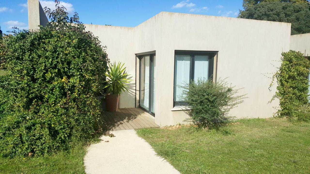 Les Madones Appartement Nîmes Buitenkant foto